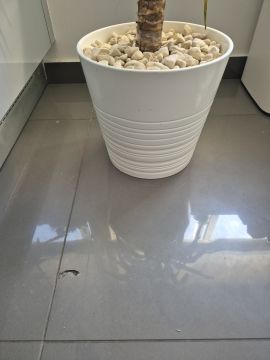 Tile Repair Specialist