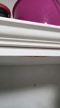 Reparação de Móveis - Bricolage e Mobiliário