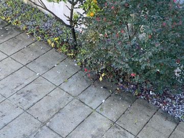 Jardinage - Jardinage et pelouses