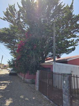 Podador de Árvores - Casa