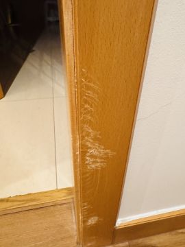 Trabajos de remodelación