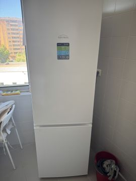 Refrigerator Repairman