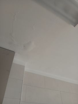 Pintor de Interiores