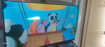 TV Repair Specialist