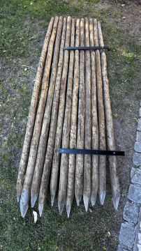 Carpenter
