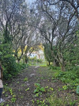 Jardinagem