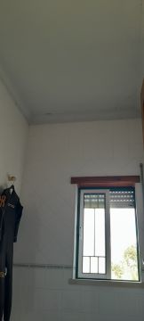 Pintura