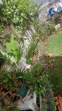 Gartenarbeit