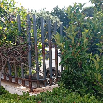 Construhelp - Torres Vedras - Especialista em Pavimentos