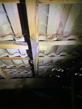 Roof Installation Professional
