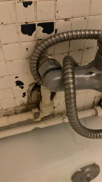 Toilet Repair Service - Technical Assistance