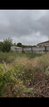 Serviço de Jardinagem - Casa