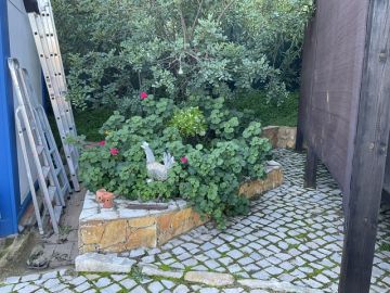 Lawncare