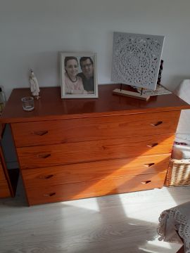 Cabinet Painter