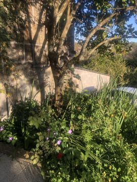 Jardinagem