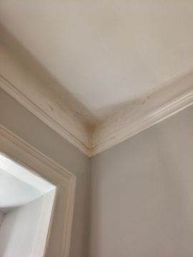 Pintor de Interiores - Casa