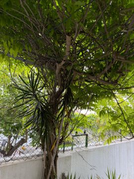 Jardinagem e Relvados