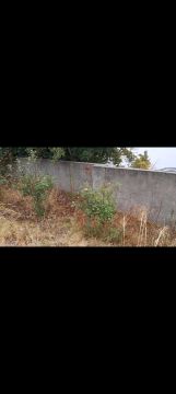 Construção de Muro