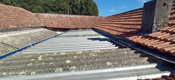Roof Installation Professional