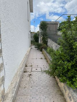 Podador de Árvores