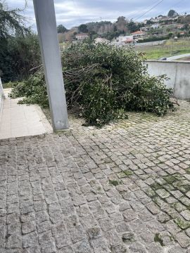 Gartenarbeiten