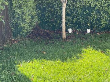 Jardinage et pelouses