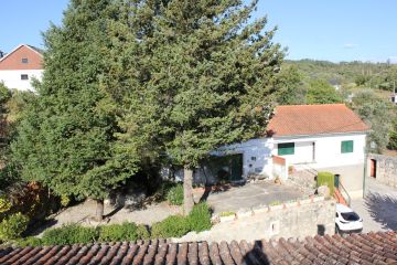 Baumpflege - Gartenarbeiten