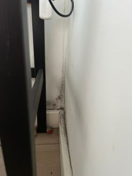 Especialista de Obras