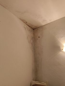 Telhados e Coberturas - Casa