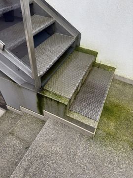 Tratamento de Relvado