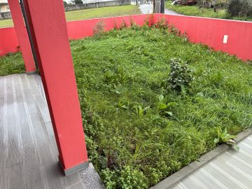 Serviço de Jardinagem