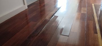 Hardwood Floor Repair or Partial Replacement