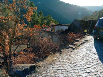 Limpeza de Terrenos