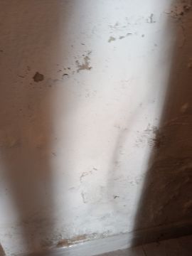 Especialista de Obras - Casa