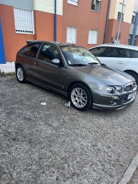 Car Painter