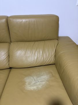 Spezialisten für Polster