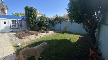 Jardinagem