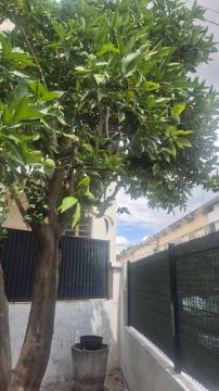 Gartenarbeiten