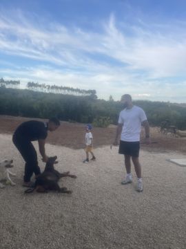 Hotel para Cães