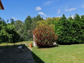 Serviço de Jardinagem