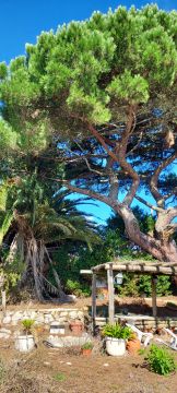 Jardinagem e Relvados
