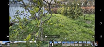 Gardener - Home Improvements