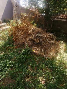 Jardinagem e Relvados