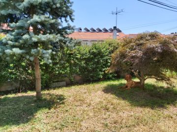 Gartenarbeit