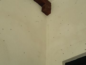Construtor de Poço