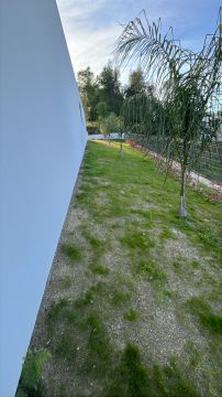Serviço de Jardinagem - Casa