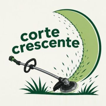 Corte Crescente - Leiria - Poda y mantenimiento de árboles
