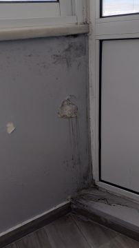 Waterproofing Specialist
