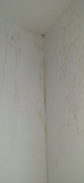 Pintor de Casas