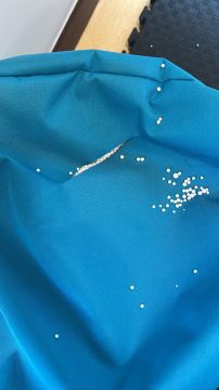 Serviço de Estofador